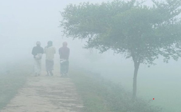 তেঁতুলিয়ায় তীব্র শীত, তাপমাত্রা ৮.৪ ডিগ্রি